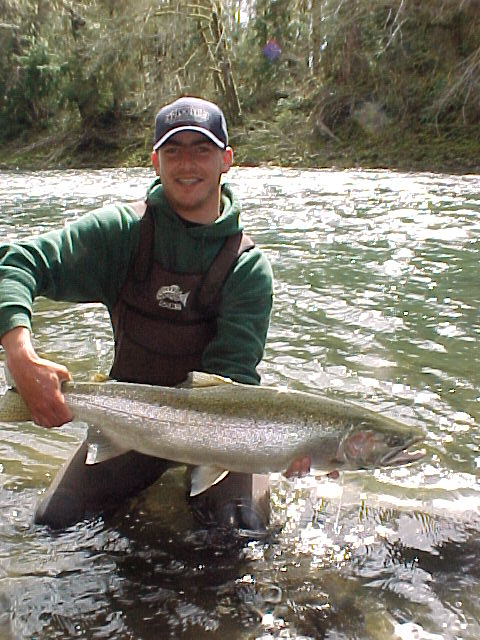 Calawah River steelhead in mid-April.