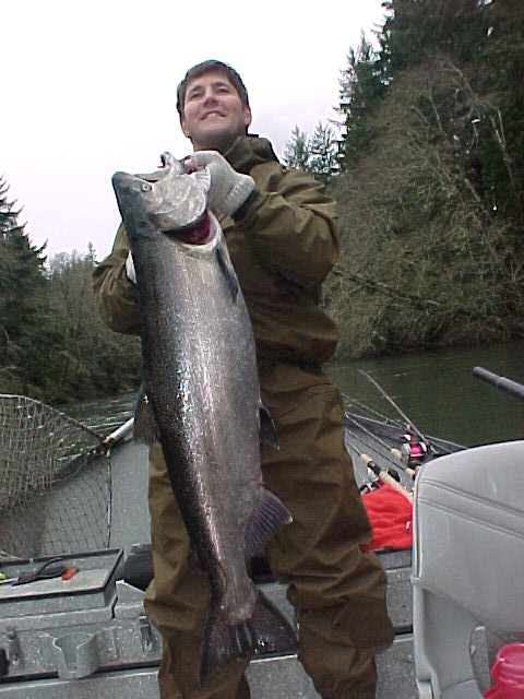 November king salmon from the Sol Duc.