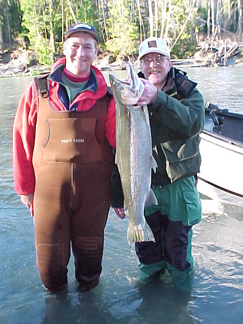 Hoh River hatchery steelhead.