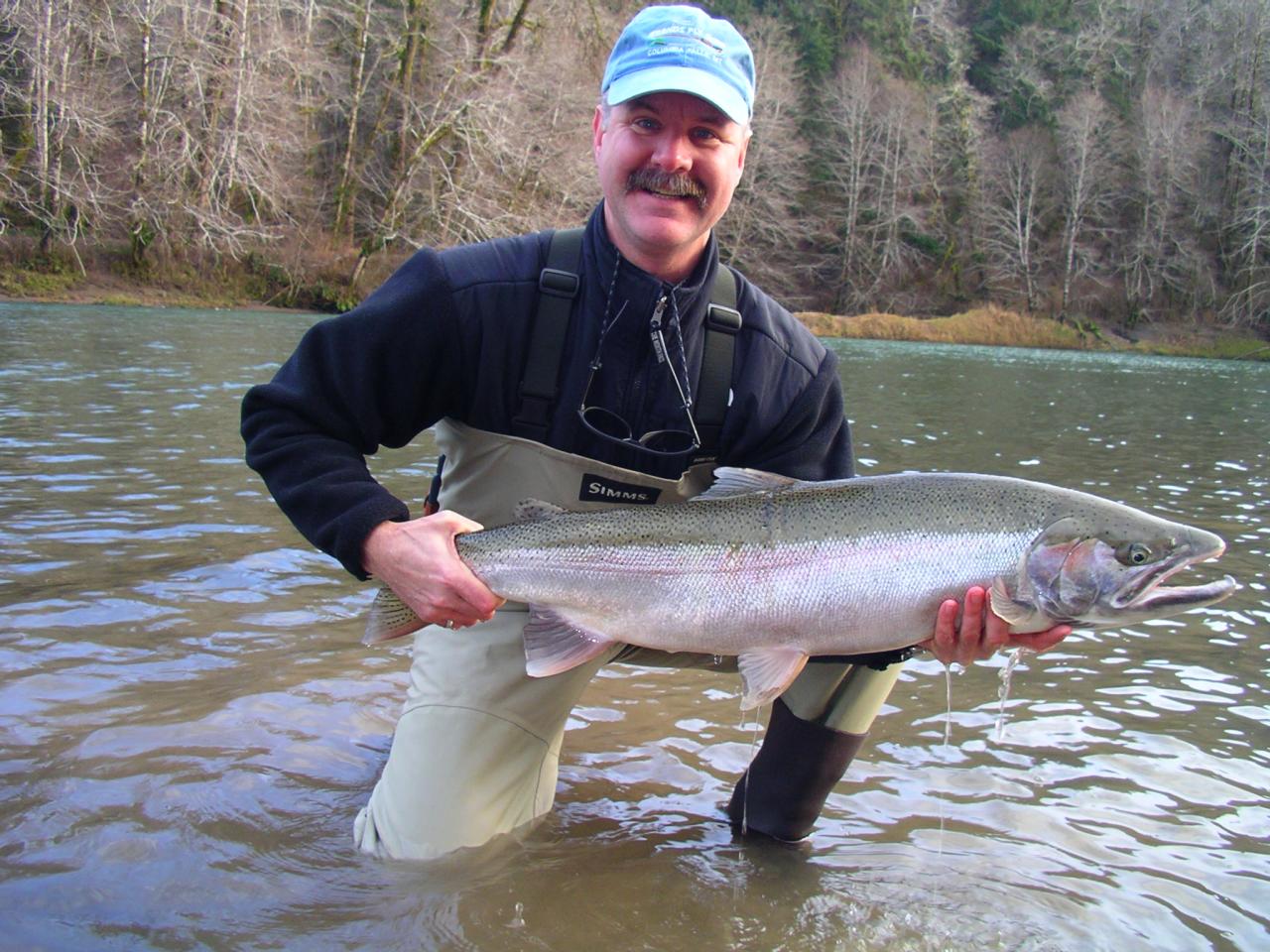 Bogachiel River wild steelhead caught by Michael N.