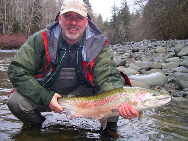 Calawah River wild steelhead.