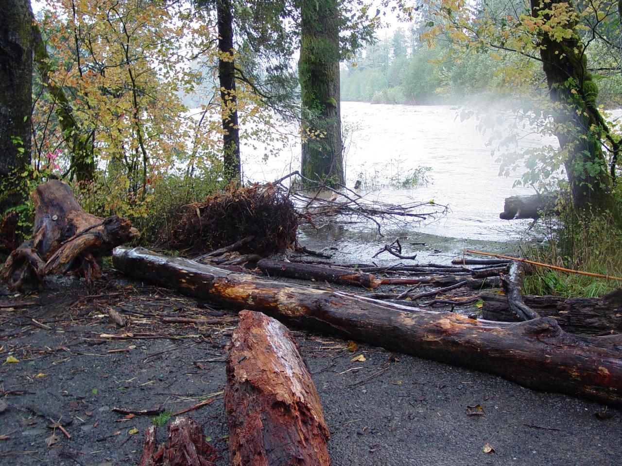 Record high flows, water & debris in the Leyendecker lauch site.