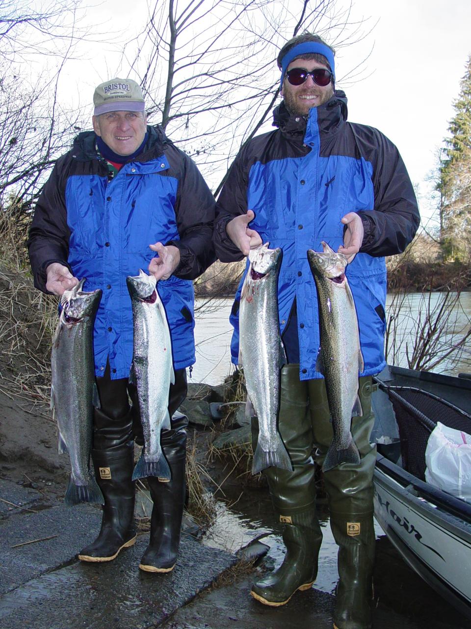 Calawah River hatchery steelhead.