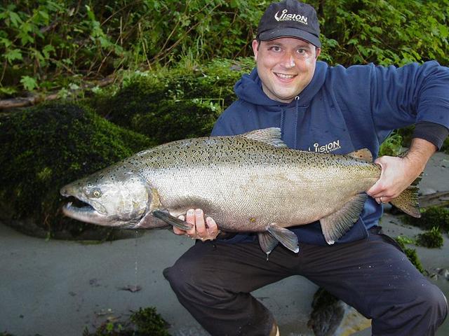 Another OP king salmon, October 14, 2003.