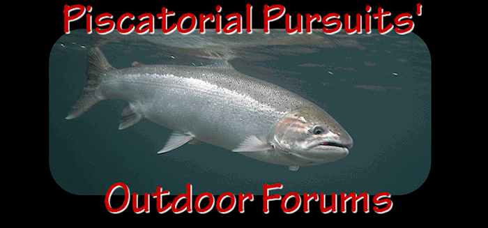 Chum on bobber and herring?  Northwest Fishing Board