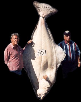 Halibut fishing charters