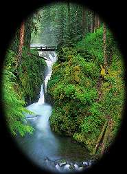 Sol Duc Falls on Washington's Olympic Peninsula