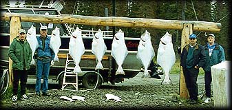 An 'average' day of halibut fishing