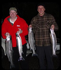 Steelhead Adipose Fin