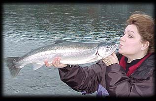 Washington steelhead fishing guides ... Hoh River hatchery steelhead fishing