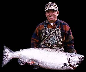 Second-run Kasilof River, Alaska trophy king salmon