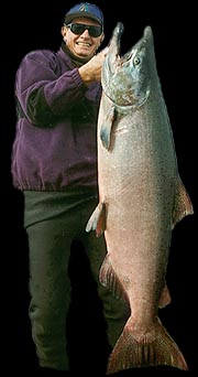 Kasilof River king salmon