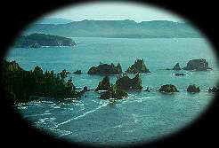 Seastacks along the Pacific Coastline