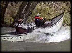 steelhead fishing