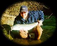 A tethered Sol Duc River hen steelhead. 