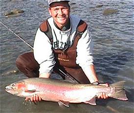 28 pound "Mississippi River" steelhead