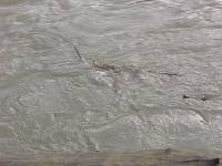 All that remains of the gauge now is a stick hanging from the top of the rebar