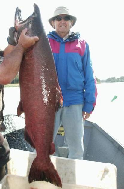 63 pounds of Kasilof River king salmon. Congrats on a monster of a first-ever king salmon!