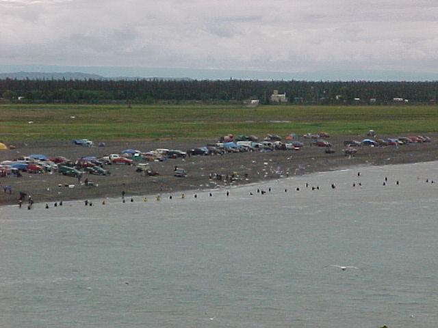 A uniquely Alaskan activity: local residents dipnetting sockeye at he mouth of the Kenai River.