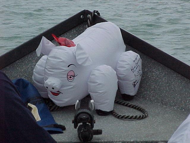 Oh no, it's that blow-up pig again! This time adorning the bow of Bob's boat on the Kasilof.