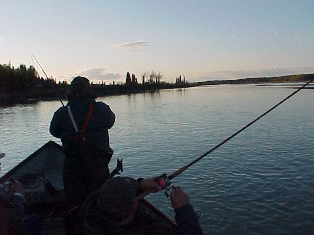 A late evening fish in early June provides us with a completely empty river, except for lots of kings on late high tide ... as t