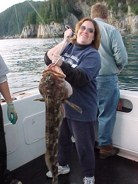 Seward lingcod, amongst the finest delicacies in the sea. They do eat better than they look!