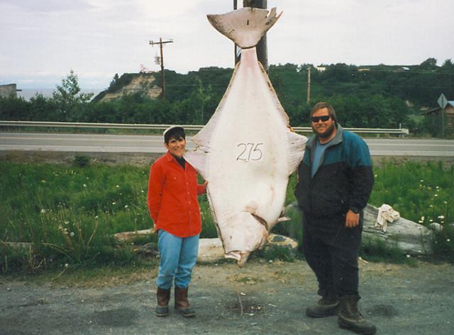 Capt. Bill and and Deb with an enormous halibut.