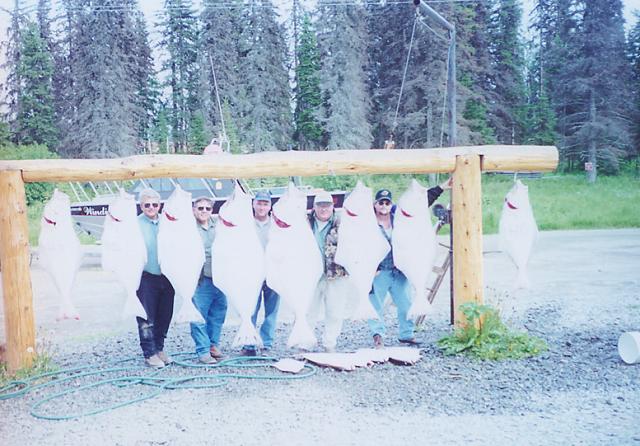 A jumbo load of halibut caught with Capt. Bill!