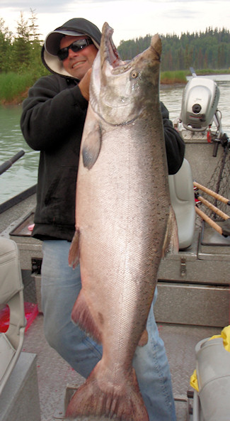 Kasilof River king salmon