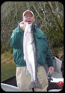 Sandshrimp - Steelhead & Salmon Fishing Tips - Methods, Equipment, Bait,  Egg Curing, and More